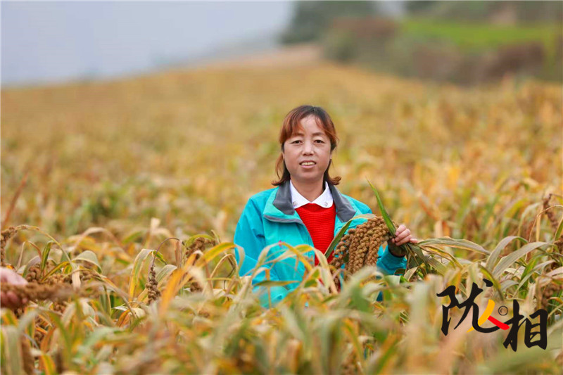 【隴人相214期】人大代表王華：履職心系“土寶貝” 會(huì)寧雜糧闖出大市場
